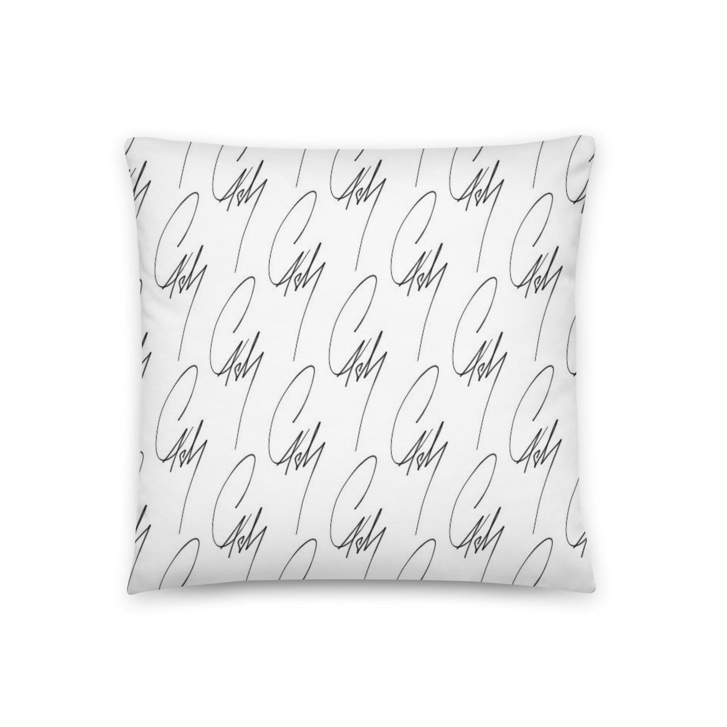 Coussin Cash