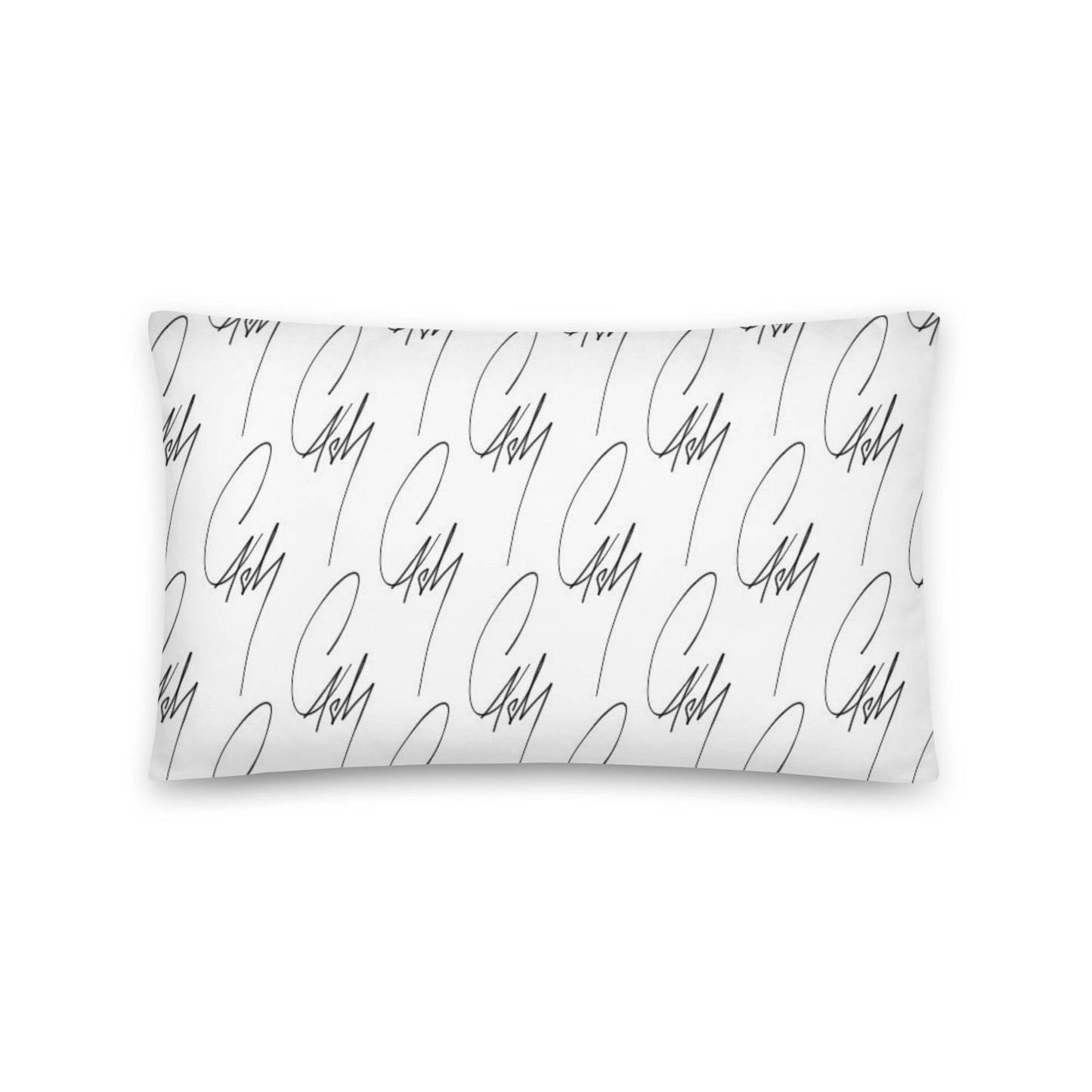 Coussin Cash