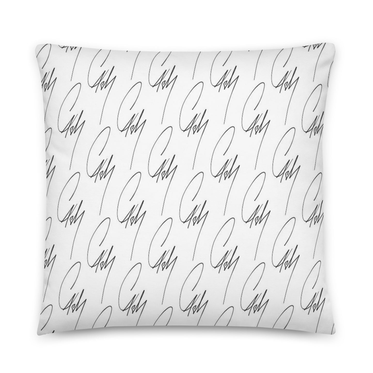 Coussin Cash