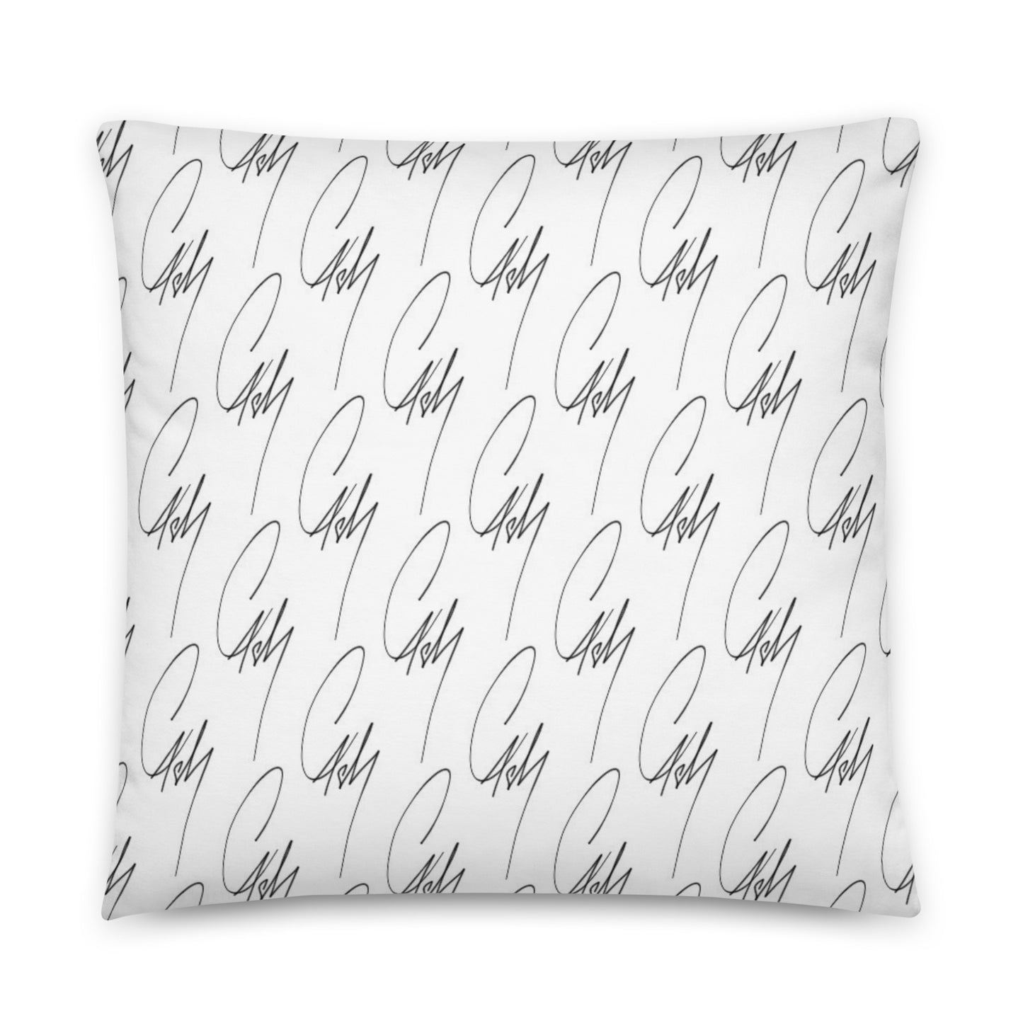 Coussin Cash