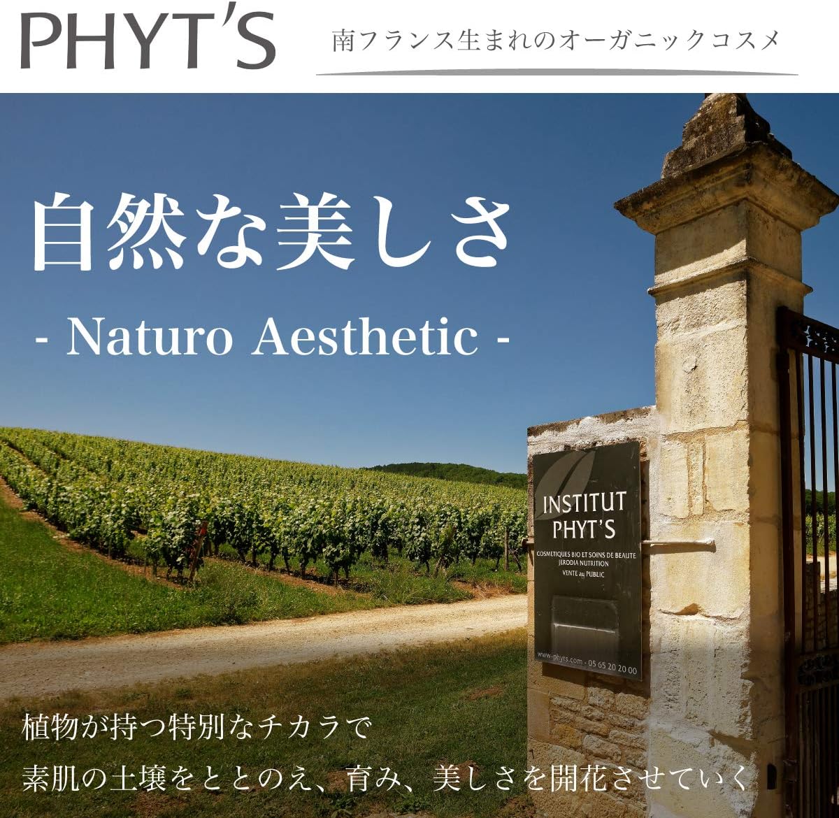 Phyt's - White Bio-Active - Crème de Jour éclaircissante Bio - Tube 40 g